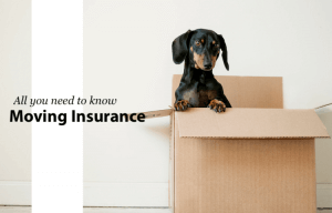 All You Need to Know About Moving Insurance